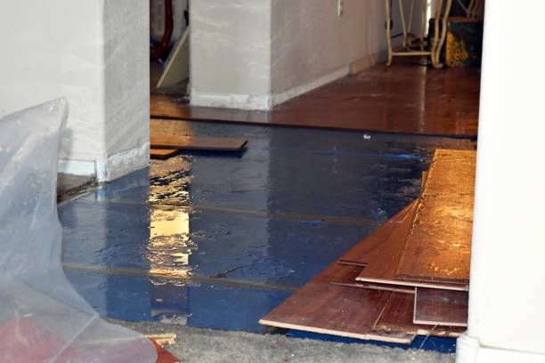 Professional Burst Pipe Cleanup technician working in Towson, MD